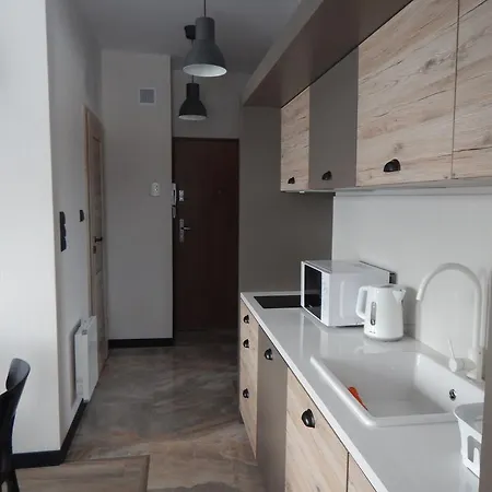 Apartamentypodzakopanem.pl Appartamento