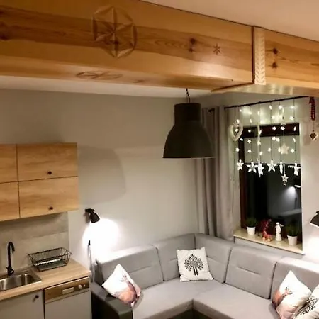 Apartamentypodzakopanem.pl 아파트 무르자시츨