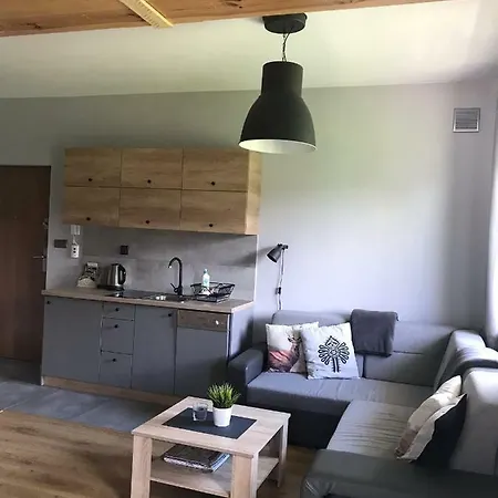 شقة Apartamentypodzakopanem.pl *